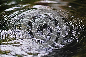 Falling water droplets in water surface with circle water waves