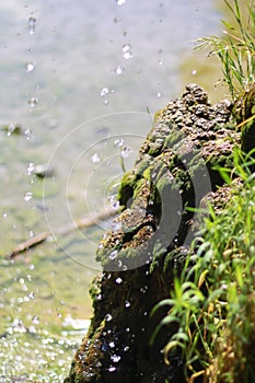 Falling waterdrops with deepth of field