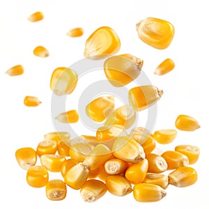Falling yellow corn kernels isolated on white background