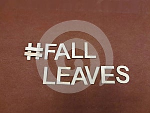 #fallleaves fall leaves hashtag for autumn