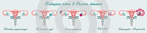 Fallopian tubes and Ovaries disorders classification. Gynecological diseases infographics. Uterus in flowers sheme