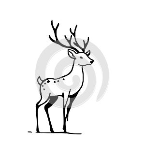Fallow deer. Fallow deer simple black and white line art vector logo