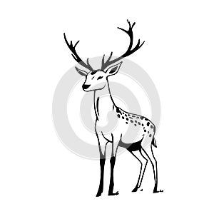 Fallow deer. Fallow deer simple black and white line art vector logo