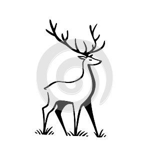 Fallow deer. Fallow deer simple black and white line art vector logo