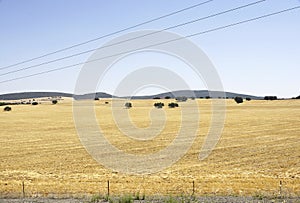 Fallow land in Puerto Lapice, Castilla La Mancha photo