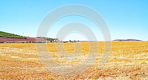 Fallow land in Puerto Lapice, Castilla La Mancha photo