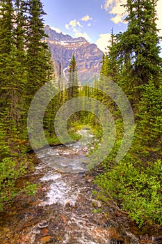 Falls in the Canadian Rockies