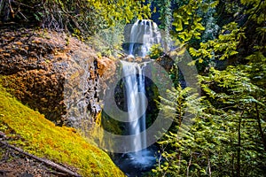 Falls Creek Falls, Gifford Pinchot National Forest, Washington