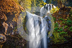 Falls Creek Falls, Gifford Pinchot National Forest, Washington