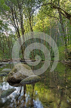 Falls Creek in Gifford Pinchot National Forest