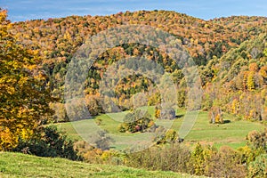 Falls foliage and little hut in Vermont countryside.