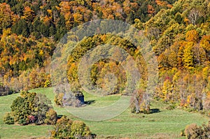 Falls foliage and little hut in Vermont countryside.