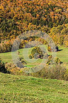 Falls foliage and little hut in Vermont countryside