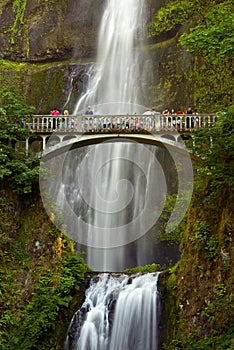 Falls Multnomah