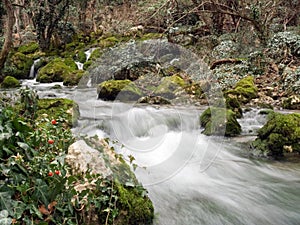 Falls on the small mountain river