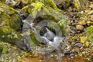 Falls on the small mountain river