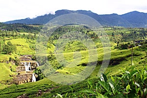 Falls St. Clair and tea plantations, Ceylon