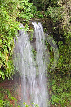 Falls in tropical forest. Amber Mountain, Diego-Suarez, Madagascar