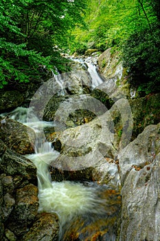 Falls On The West Fork Of The Pigeon River