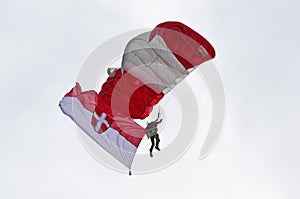 Parachutists of the armed forces on the national holiday 2020 in vienna