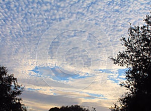 Fallstreak Clouds form as the sun came up photo