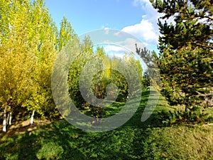 A falltime landscape