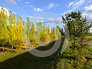 A falltime landscape