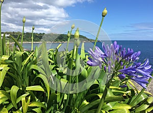 Falmouth Bay, Cornwall