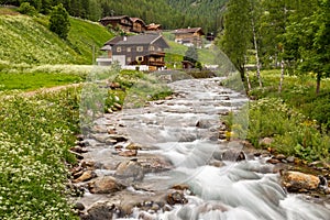 At Falschauer creek, Ulten Valley, South Tyrol