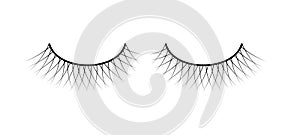 False eyelashes. Fake the cilia. Isolated on a white