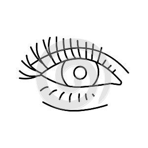 false eyelashes line icon vector illustration