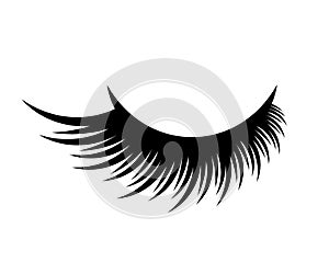 False eyelashes on a white background. Symbol. Vector