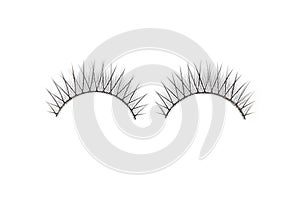 False lashes