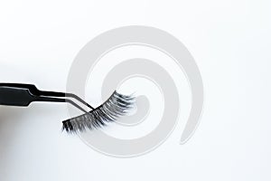 False lashes with black tweezer, isolated on white