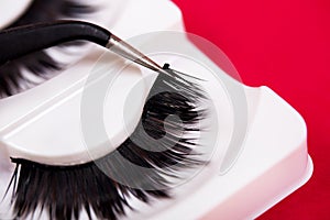 False lashes and pincers, close up on red background