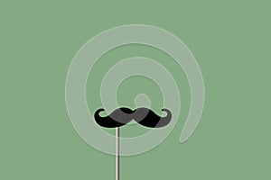 False mustache on a green background. vector illustration