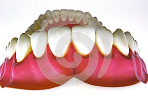 False teeth