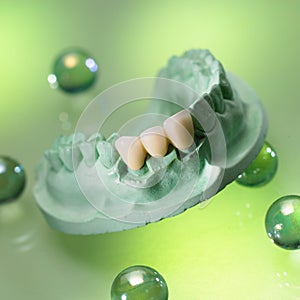 False teeth