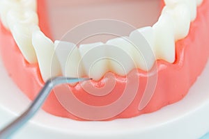 False teeth, jaws. Dentistry instruments and dental hygienist checkup concept Regular checkups are essential to oral health.