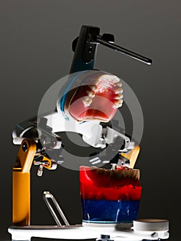 False teeth prosthesis