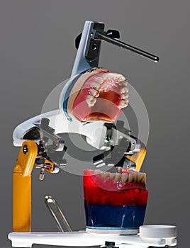 False teeth prosthesis