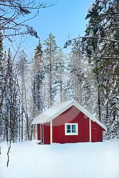 Falu red hut in the Swedish forest photo