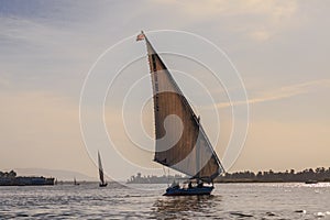 Faluka on the Nile River