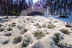 Falun - March 31, 2018: Forest lodges at Framby Udde near the town of Falun in Dalarna, Sweden