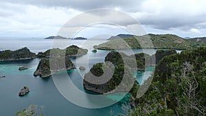 Fam island pier nemo viewpoitn on pinnacles small island green vegetation