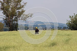 Fam worker walking in waist high field of green grass on a hot day