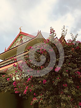 The Famed `China House` of Merida, Mexico - MERIDA photo