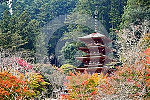 The Famed Pagoda of Hasedera Temple, Nara