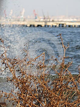 The famed Port of Baku, Azerbaijan by day