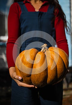 Famer at the autumn pumpkin patch background. Having fun and posing.